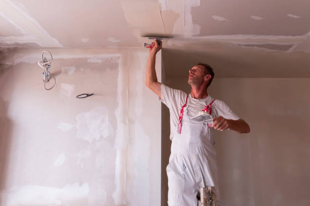 Best Commercial Drywall Repair  in USA