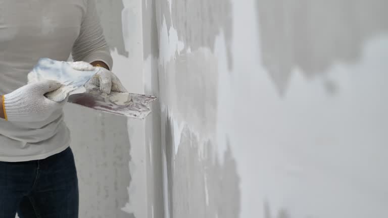 Best Touch-Up Painting Services  in USA